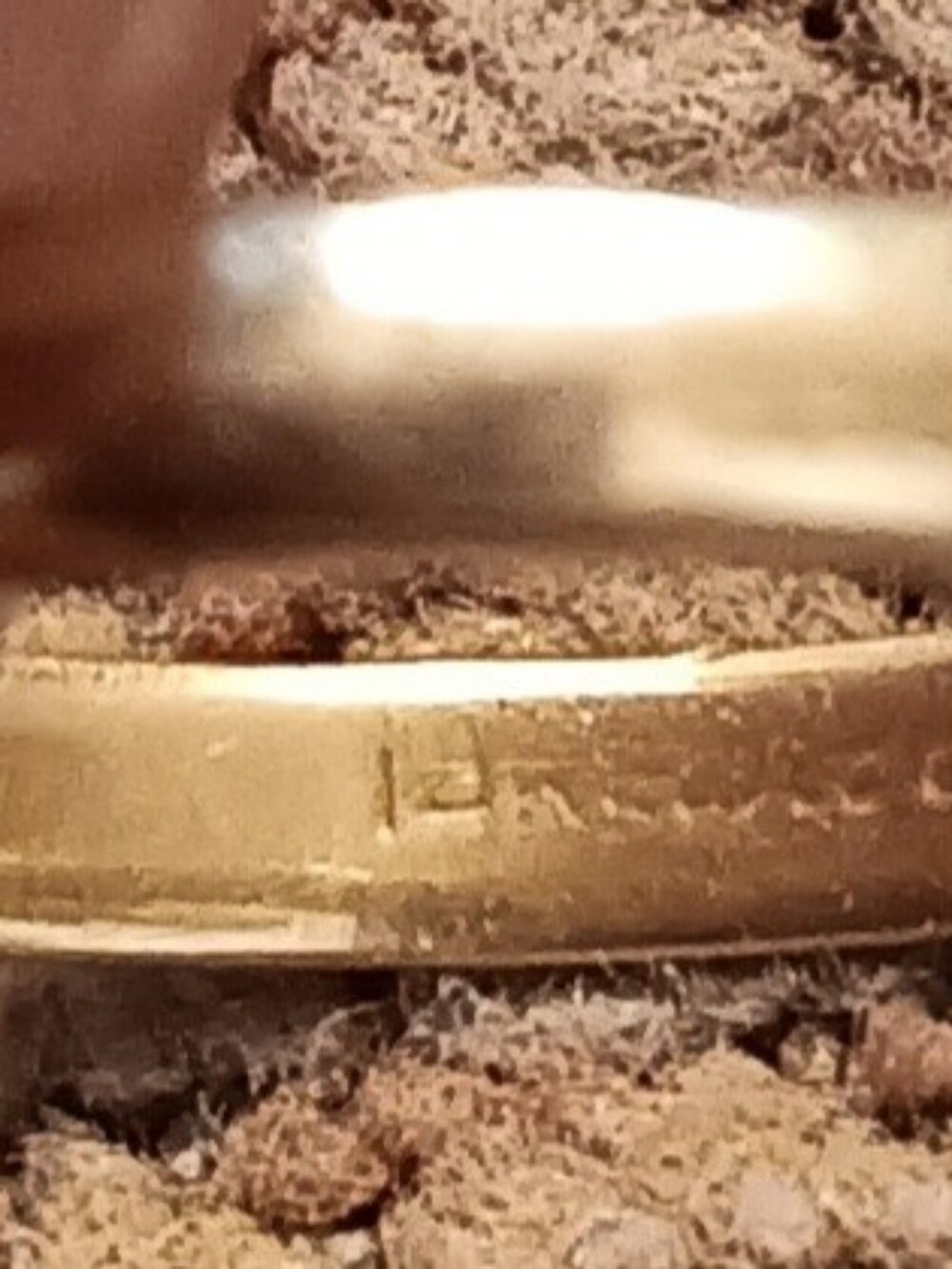 14k Yg Artcarved Gold Ring.firm